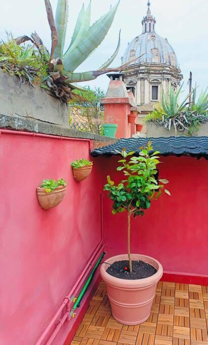 Attico Campo De Fiori Katia Apartment Rom